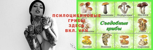 хмурый Алексеевка